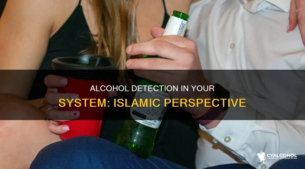 how many days does alcohol stay in your system islam