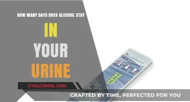 Alcohol in Urine: How Long Does it Last?
