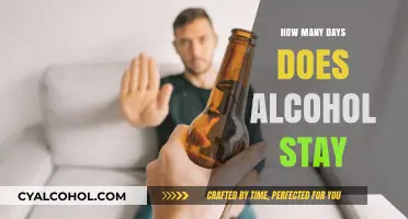 How Long Does Alcohol Remain Detectable in Your System?