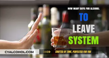 Alcohol Detox Timeline: How Long Does It Stay in Your System?