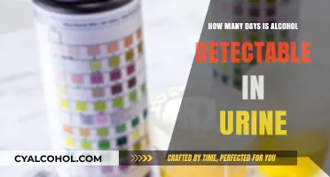 Alcohol Detection Timeline: How Long Does It Stay in Urine?