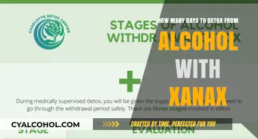 Detoxing from Alcohol with Xanax: How Long Does It Take?