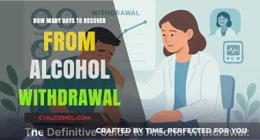 Understanding Alcohol Withdrawal Recovery Timeline and What to Expect