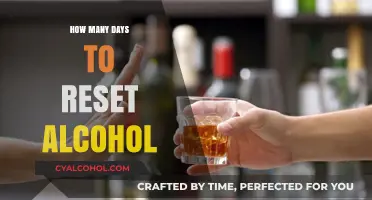 Resetting Your Body: Understanding the Alcohol Detox Timeline