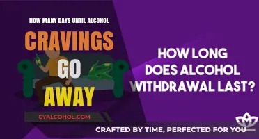 Overcoming Alcohol Cravings: Timeline for Lasting Sobriety and Recovery