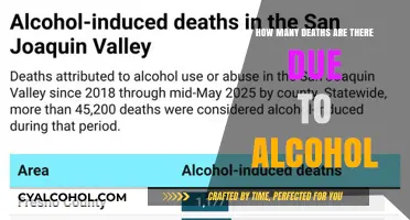 Alcohol-Related Deaths: A Global Crisis and Its Devastating Impact