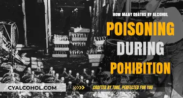 Deadly Consequences: Alcohol Poisoning Deaths During Prohibition Era