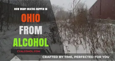 Ohio's Alcohol-Related Deaths: Understanding the Sobering Statistics