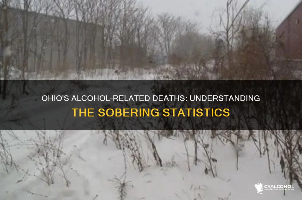 how many deaths happen in ohio from alcohol