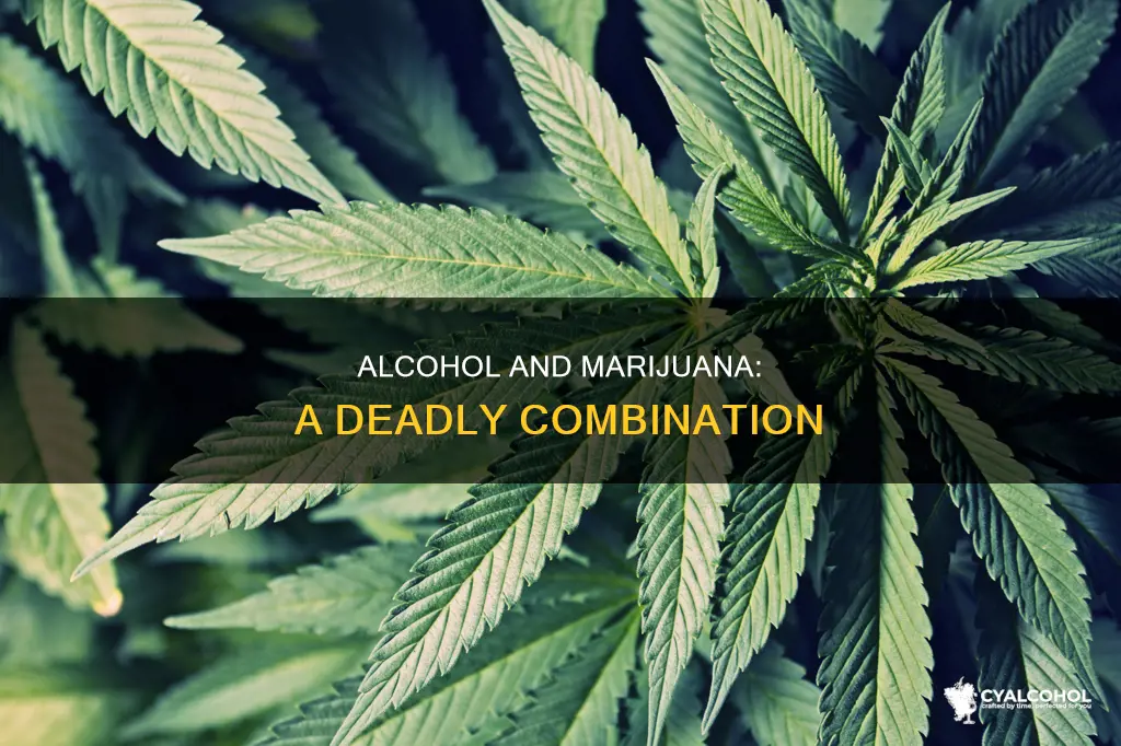 how many deaths has alcohol and marijuana comined cased