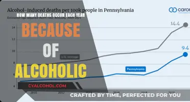 Alcohol-Related Deaths: A Preventable Tragedy