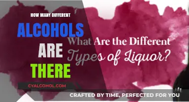 Exploring the Diverse World of Alcohol Types and Varieties