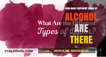 Exploring the Diverse World of Alcohol Types and Varieties