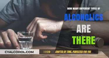 Understanding Alcoholism: Exploring the Diverse Types of Alcoholics