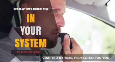 How Long Does Alcohol Remain Detectable in Your System?