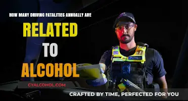 Alcohol-Related Driving Fatalities: A Preventable Tragedy