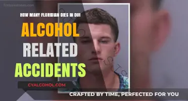Florida DUI Deaths: Alcohol's Grim Toll