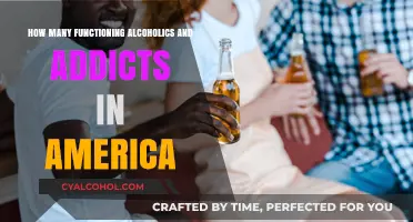 Unseen Struggles: Functioning Alcoholics and Addicts in America