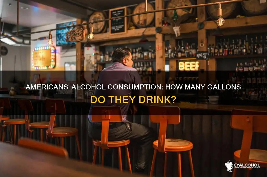 how many gallons of alcohol do americans drnk