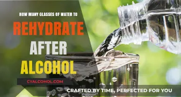 Rehydrating After Alcohol: How Many Glasses of Water?