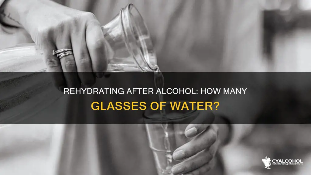 how many glasses of water to rehydrate after alcohol