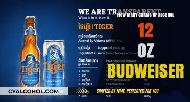Budweiser Alcohol Content: Grams in a 12 oz Serving Explained
