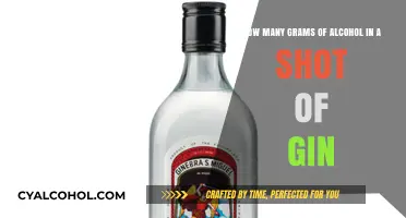 Alcohol Content in Gin: How Many Grams in a Shot?