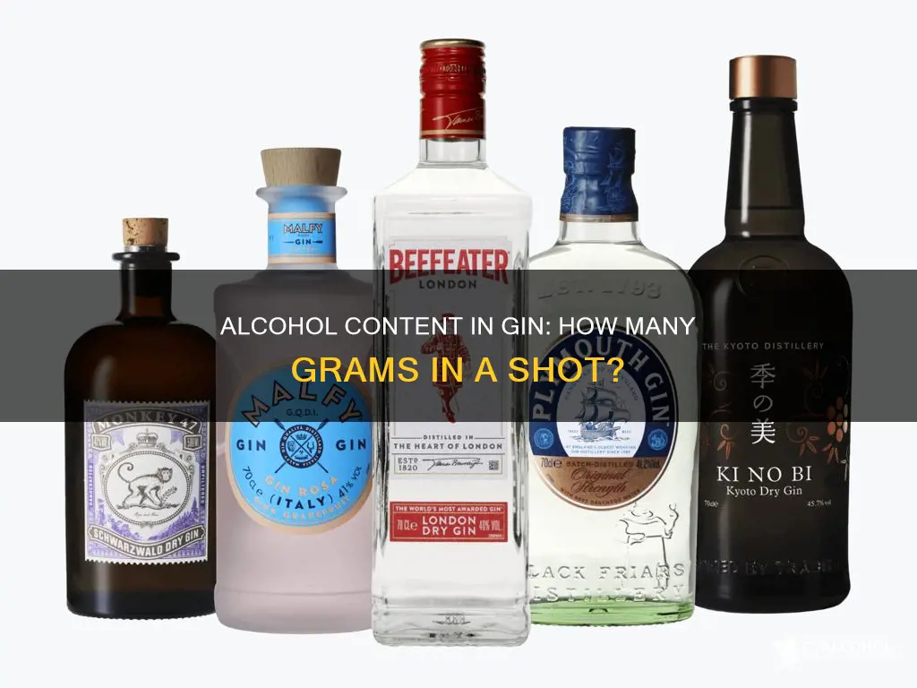 how many grams of alcohol in a shot of gin