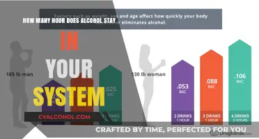 Alcohol's Staying Power: Hours in Your System