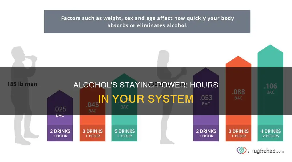 how many hour does alcohol stay in your system