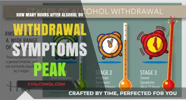 Alcohol Withdrawal Symptoms: When Do They Peak?
