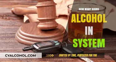 How Long Does Alcohol Stay in Your System?