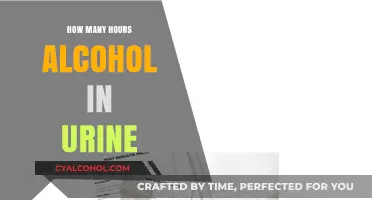 Detecting Alcohol in Urine: How Long Does It Stay in Your System?