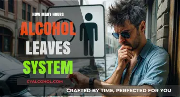 How Long Does Alcohol Stay in Your System?