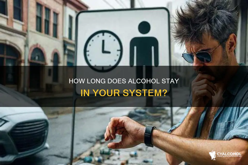 how many hours alcohol leaves system