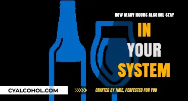 How Long Does Alcohol Remain Detectable in Your System?