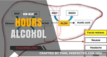 Understanding Alcohol Metabolism: How Many Hours Does It Take?