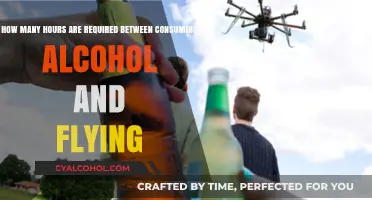 Safe Flying After Drinking: Understanding the Hours Needed