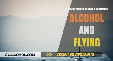 Alcohol and Flying: Safe Hours Between Drinking and Taking Off