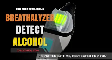 Breathalyzer Detection Window: How Long Does Alcohol Show Up?