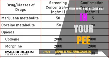 Alcohol in Your Pee: How Long?