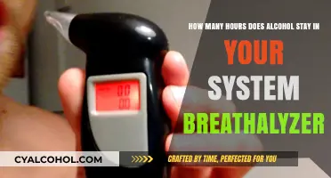 Alcohol Breathalyzer: How Long Does it Last?