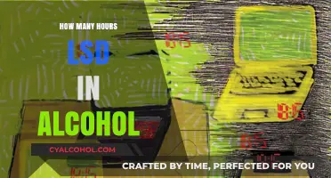 LSD and Alcohol: Understanding Duration and Interaction Risks