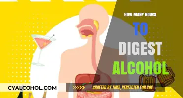 Understanding Alcohol Digestion: How Long Does Your Body Take?