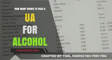 UA Alcohol Detection: Understanding the Hours