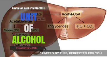 Processing Alcohol: Understanding the Time It Takes