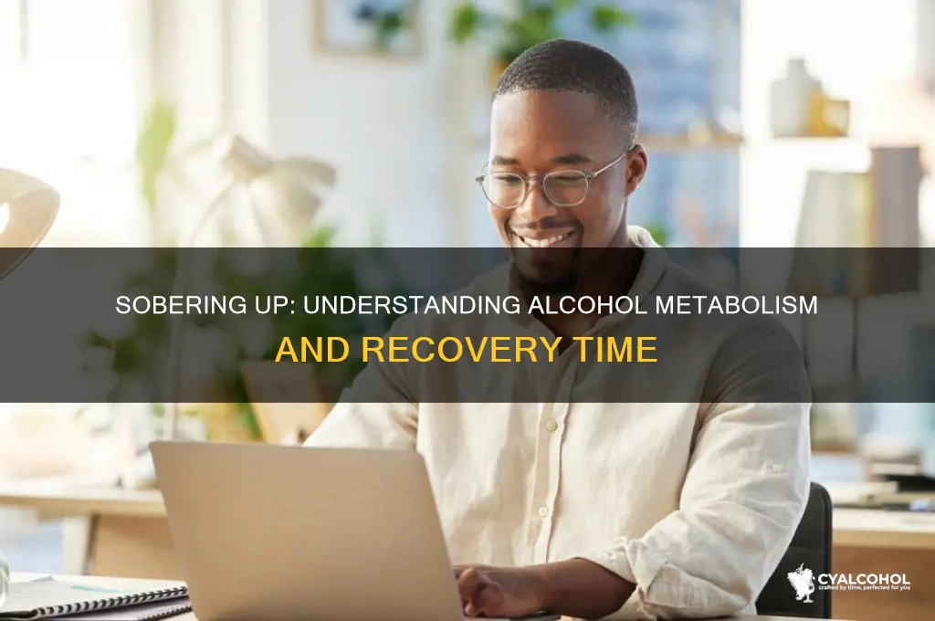 how many hours to sober up from alcohol