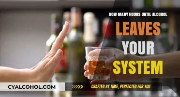 Alcohol Detox Timeline: How Long Does It Stay in Your System?