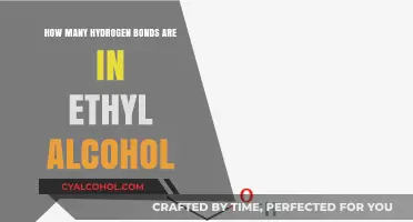 Exploring Hydrogen Bonds in Ethyl Alcohol: Structure and Count