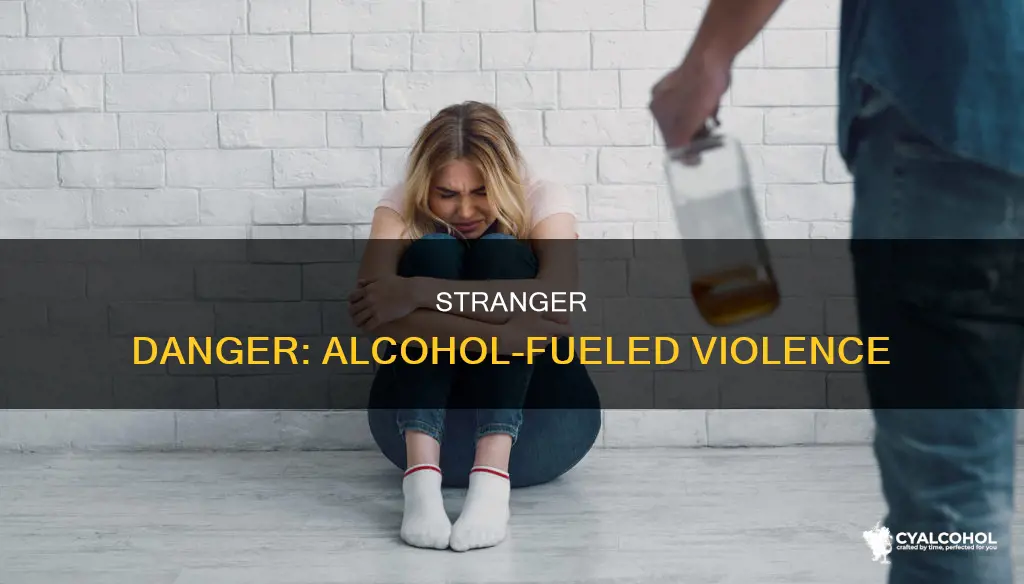 how many incidents of alcohol-related violence are committed against strangers